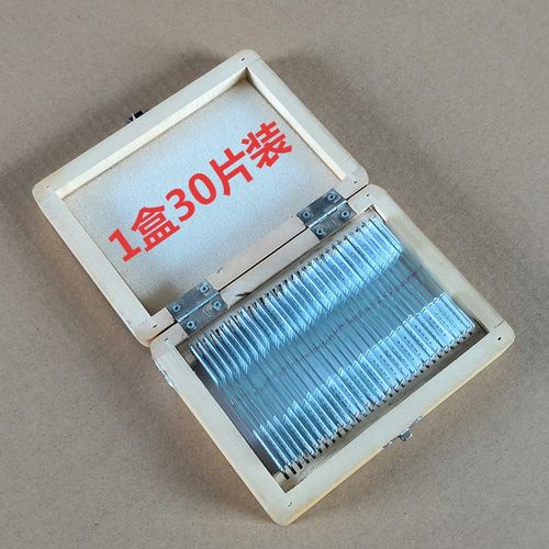 片浪花教学仪器牌切片 4233藓涂颈卵器切片 生物显微镜玻片