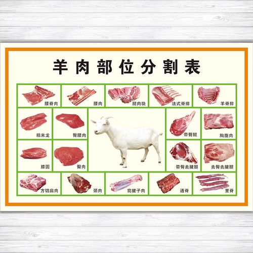 羊肉分割表分解局部位示意图示意图海报展板写真喷绘印制贴纸461