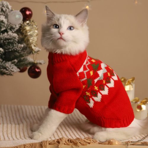 网红猫咪衣服冬季公猫帅气猫衣服冬装蓝猫宠物可爱圣诞节衣服装扮