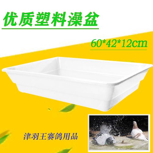 鸽子不锈钢洗澡盆鸽具澡盆大号加厚信鸽用品用具大全浴盆 塑料澡盆