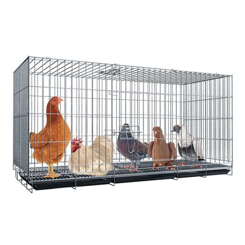迪熊先生 鸽子笼可折叠繁殖笼家用大型带隔断养殖笼鸡笼信鸽配对笼