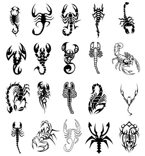 蝎子图腾eps矢量素材 潮流蝎子 潮流纹身图案样式 剪影 设计素材