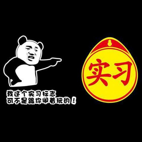 女司机新手上路实习标志车贴创意文字个性反光贴纸汽车搞笑车贴纸