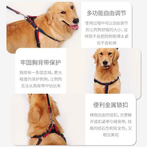 查看源网页