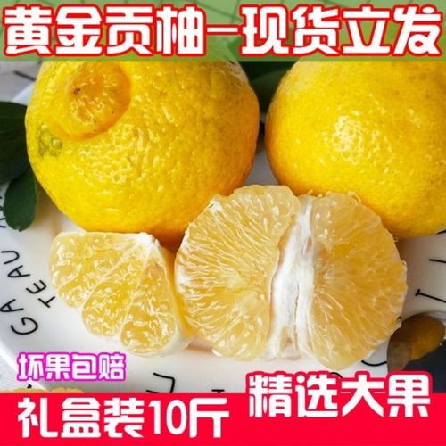 怀化洪江黄金贡柚春香桔柚丑八怪新鲜象山青甜柚子水果