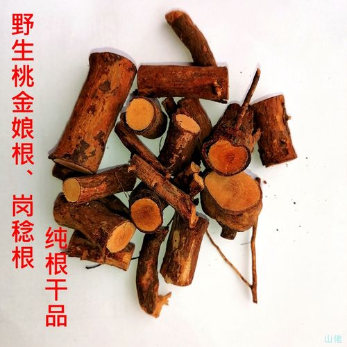 广东野生棯子根桃金娘根岗稔根乌当泥根稔子树根煲汤泡酒500g干品