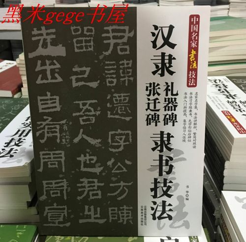 中国名家书法技法汉隶礼器碑张迁碑隶书技法