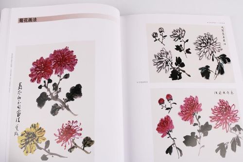《菊花篇》 贾德江主编国画技法花头叶枝综合练习精讲画法步骤范例