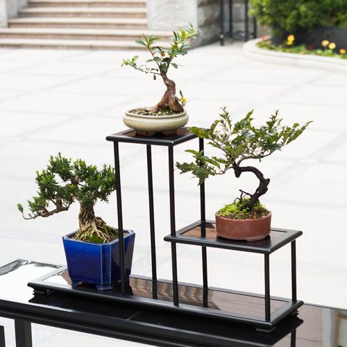新中式花架桌面植物架阳台多层绿植架室内盆景架铝合金欧式花几.