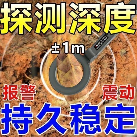 冬笋探测仪探测器金属手持仪银铜黄金高精度挖笋可视神器考古探宝