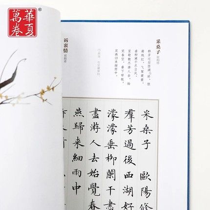 正版 卢中南小楷毛笔字帖 宋词三百首 精装字帖 练字专用指导临摹教材