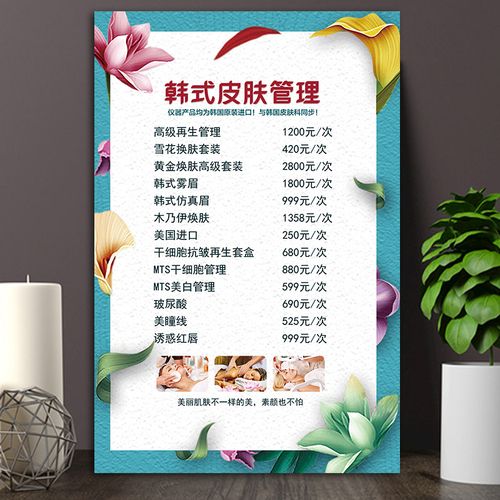 美容院项目皮肤管理价格表价目表设计制作定制定做广告海报宣传画
