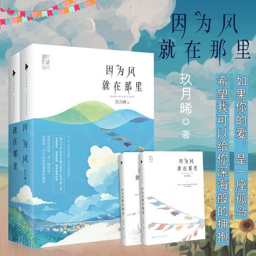 他知道风从哪个方向来因为风就在那里玖月晞追风系列言情小说书籍