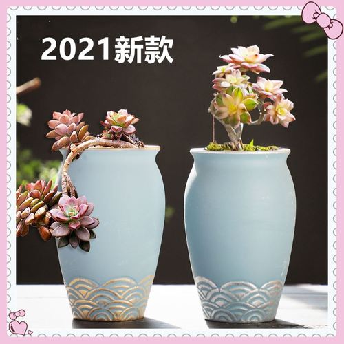 适合种太阳花的花盆好看的网红创意花盆特色2021新款