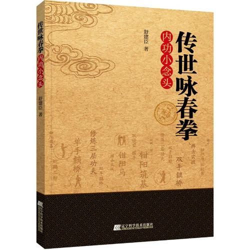 传世咏春拳内功小念头 叶问中国功夫咏春拳练习技术指导教学教程图书