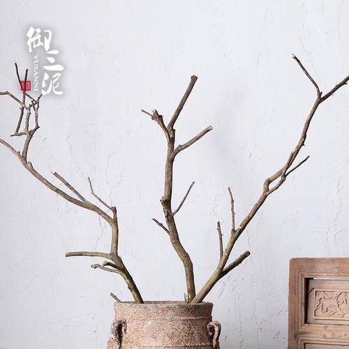 干树枝装饰天然植物干花带皮枯枝树干客厅商场摆件橘子树造型树杈