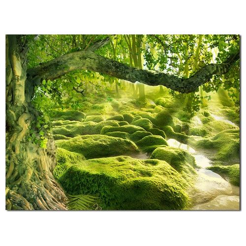 影楼儿童拍照背景布婚纱摄影梦幻森林大自然主题绿色植物树木背景布