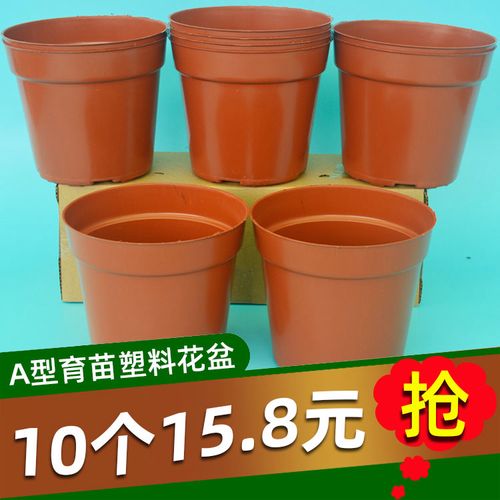 a型营养育苗杯穴花盆瓶钵塑料盆栽绿植多肉草花果药苗