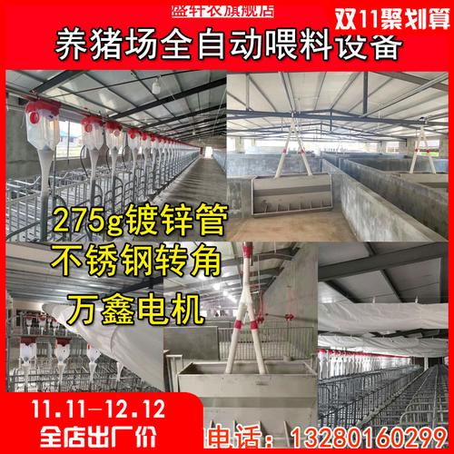 盛轩农养猪场全自动喂料系统育肥母猪喂料供料机热镀锌管设备
