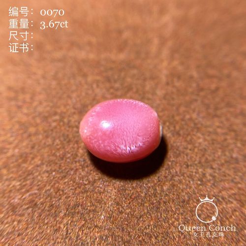 67ct深樱花粉色海螺珠孔克珠满火火焰纹有钙点设计不影响#0070