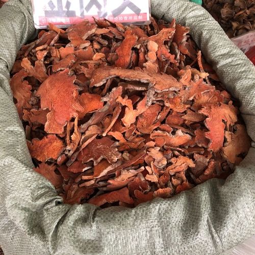 金刚头 金刚藤  500克包邮 菝葜 拔契 金刚刺 泡酒料 中药材 野生