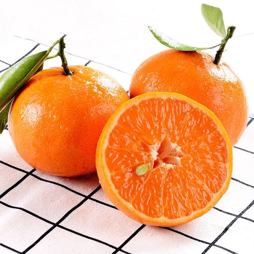 四川贵妃柑5斤新鲜薄皮蜜橘应季沃柑甜桔子 5斤 精选果