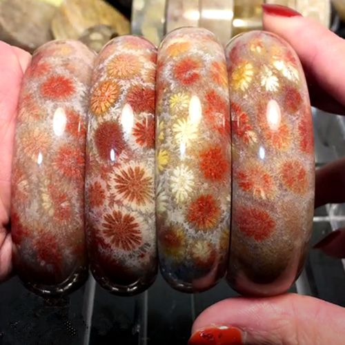 美丽买天然印尼珊瑚玉冰种手镯圆条宽版彩花菊花石手镯直播专拍