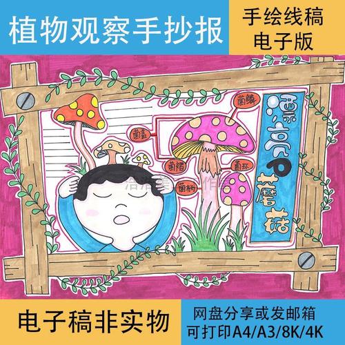植物观察记录日记手抄报2黑白线稿模板电子版半成品可涂色蘑菇