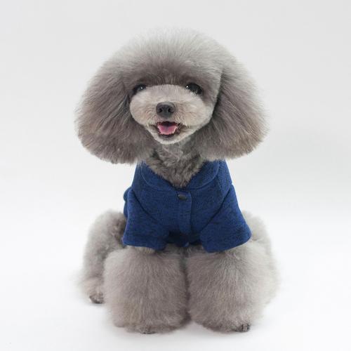泰迪小狗衣服新款宠物服装小型犬网红狗狗衣服秋冬款加厚两脚卫衣