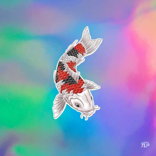 tlp反光车贴 金鱼招财平安吉祥锦鲤鲤鱼宠物水族防水背胶贴纸