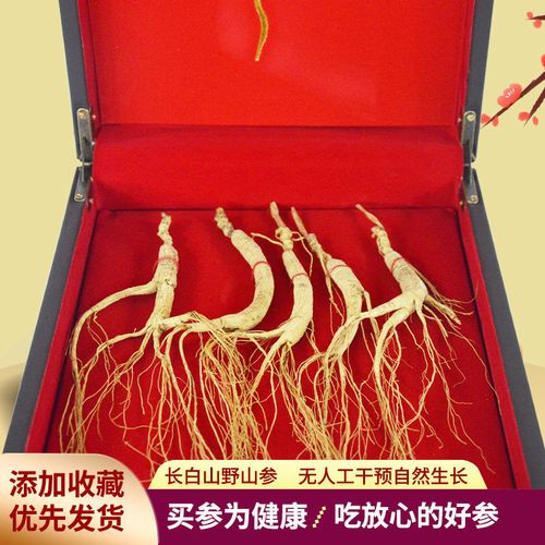 林下野山参老山参高档人参礼盒长白山干人参泡酒煲汤送礼佳品滋补