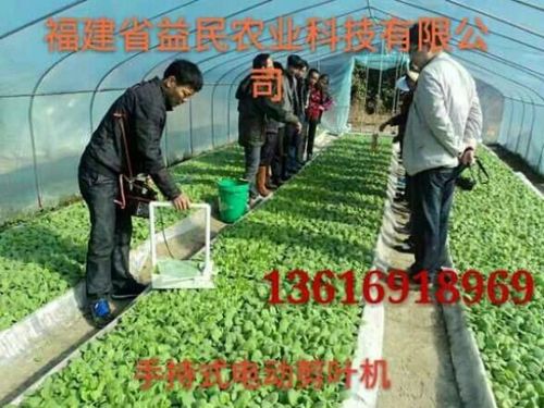 烟草便携式烟苗充电式电动剪叶机修剪烟苗修叶机m