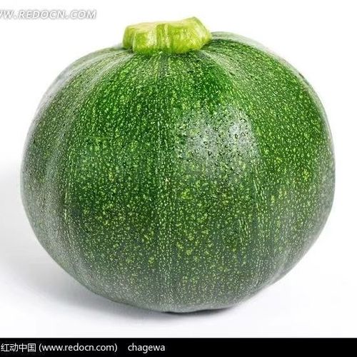 云南新鲜嫩南瓜小嫩瓜当季农家迷你青南瓜应季蔬菜小番瓜