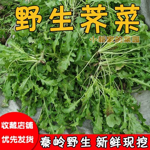 现挖新鲜野生荠菜地丁菜包饺子花野芥菜扁荠荠锅铲菜1斤3斤4斤5斤