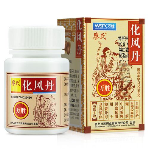 廖氏 化风丹 0.
