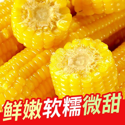 金沃瑞丰 糯玉米新鲜粘玉米棒即食黄糯玉米非转基早餐12穗装 礼盒