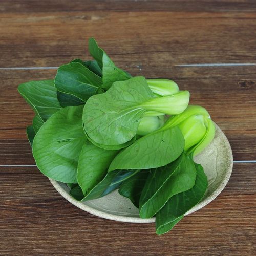 小青菜  新鲜蔬菜 500g