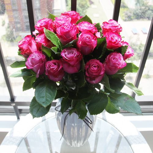 魅影玫瑰鲜花云南直发直批基地昆明斗南真花水养家用玫瑰花紫色