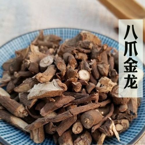 中药材 八爪金龙 500g 野生百两金 八爪龙 八爪根 猪总管 铁雨伞 中