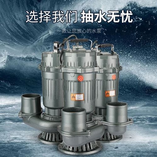 上海钱霸无刷直流潜水泵48v60v伏通用电瓶电动车3寸4寸抽水机