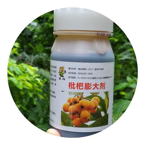 枇杷调节x剂枇杷膨大生长剂枇杷膨大叶保促花果增面肥甜