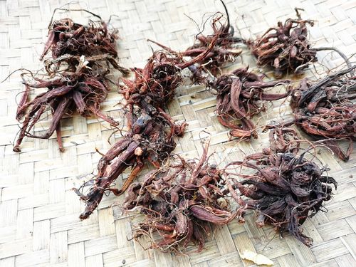 农产品草药红禾麻500克 贵州中药材红活麻小红麻根红火麻无硫干货