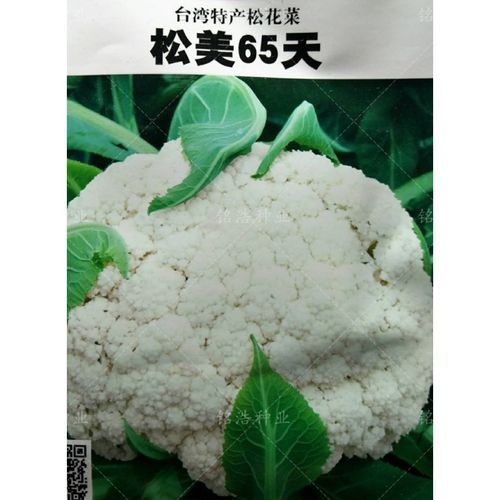 有机花菜种子青梗松花菜花椰菜高产甜脆早熟夏秋播蔬菜籽松美65天 松