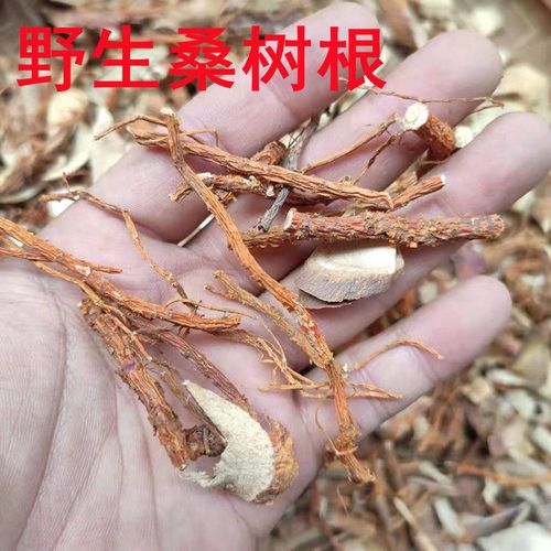 桑树根 野生干货 深山自采 自然晒干 桑葚树根 桑树老桑头