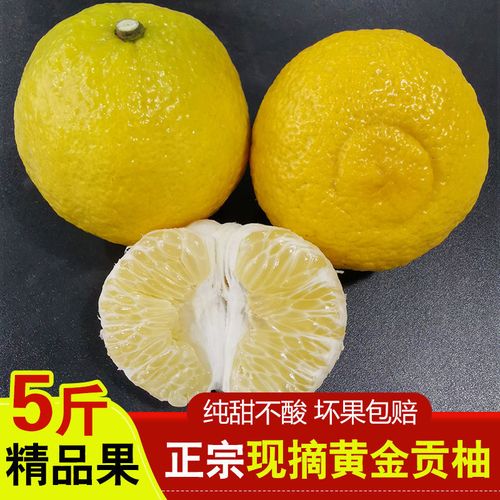黄金贡柚10斤大果礼盒春香金柚新鲜水果当季手剥柚子纯甜桔柚5斤