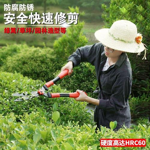 园林园艺剪刀草坪修剪w修枝剪花草树枝剪粗枝绿篱剪绿化工具 伸缩