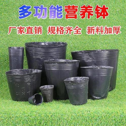 蔬菜种植袋育苗袋苗圃移苗18*18育种农用新品营养盆种植盆花木场