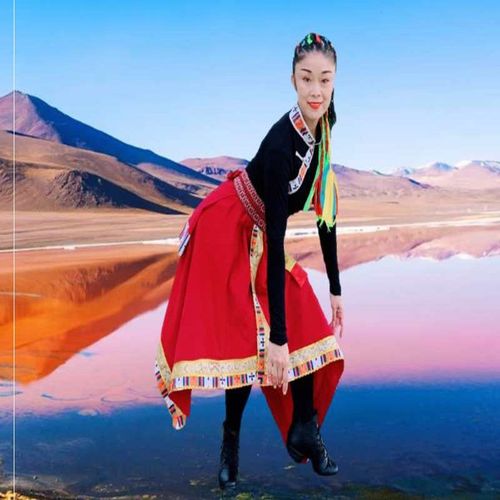 新品宁宁广场舞次真拉姆藏族舞蹈演出服新款a藏族半身裙长袖上衣