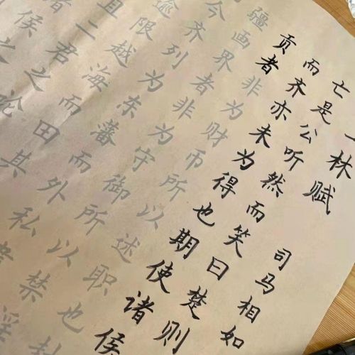 世宜得 少林赋 写上林赋得心上人意中人全篇文上林赋长卷手卷送男友可