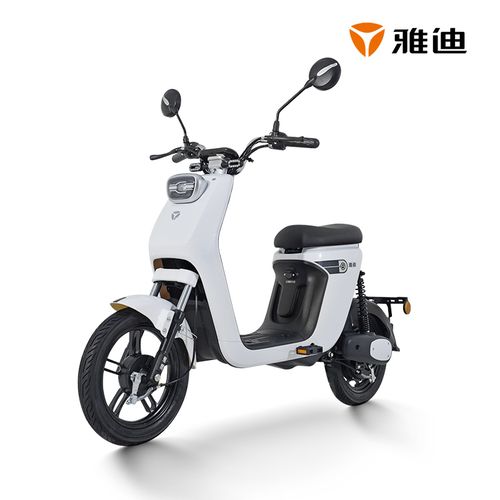 雅迪 yadea 欧致电动车 48v24ah锂电池新国标电动自行车男女通用电动